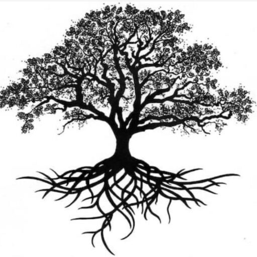 Pettinato's Ancestry